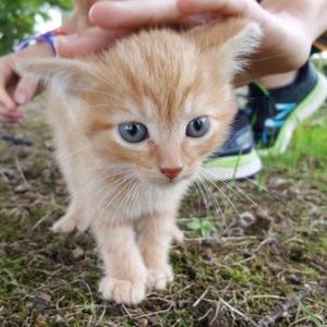 Meet your Posher, Alyson